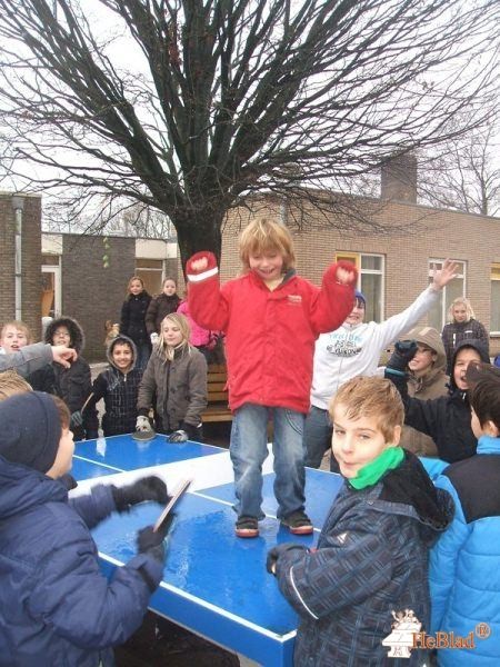 Action 4 Kids Nederland B.V. aus Dalfsen