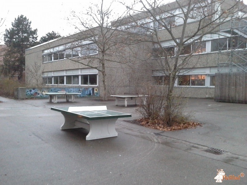 Staatliche Realschule Schwabach aus Schwabach