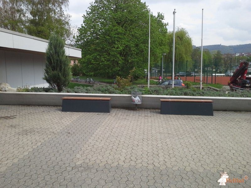 Lindenschule aus Geislingen 