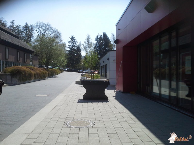 Freiherr-vom-Stein-Schule aus Eppstein