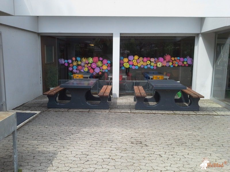 Lindenschule aus Geislingen 