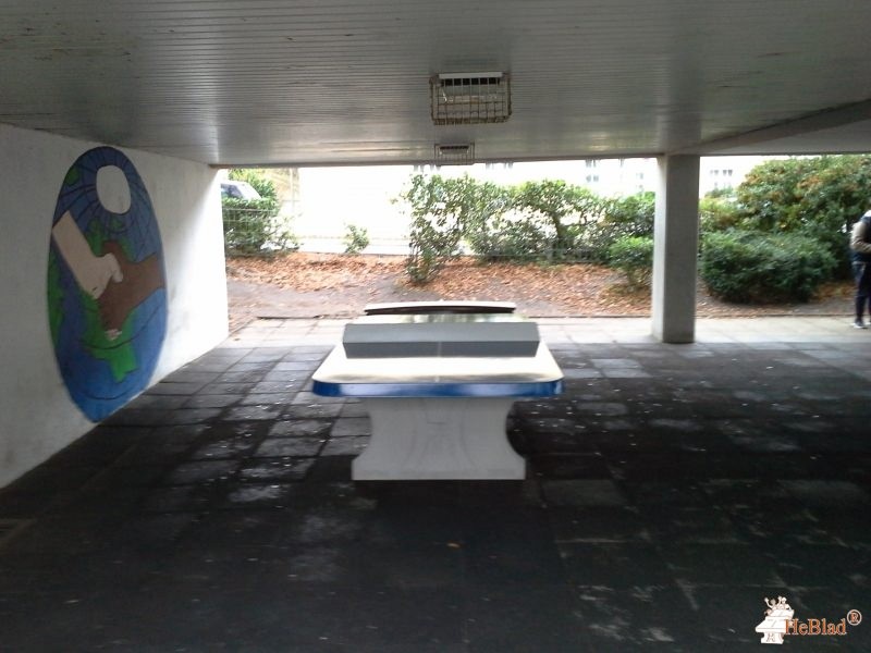 Bosse Schule aus Bielefeld