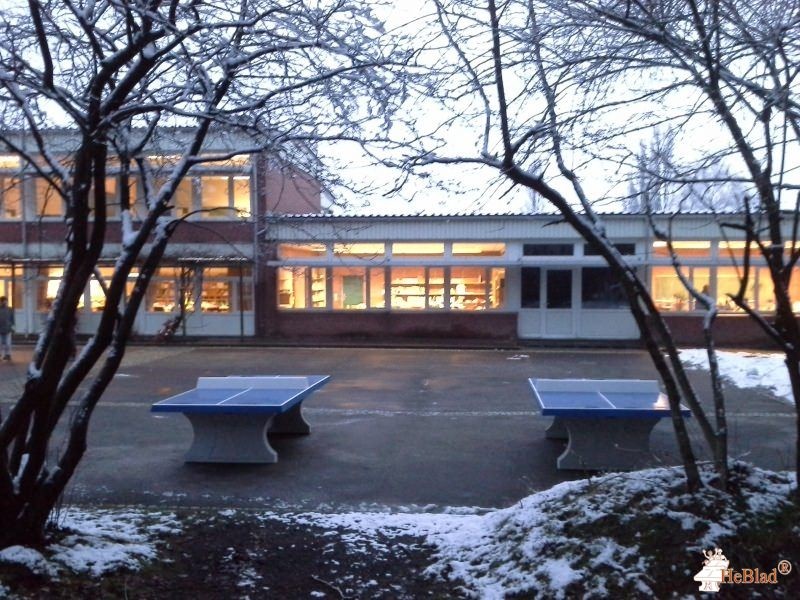Gemeinschaftsschule am Hamberg aus Burg