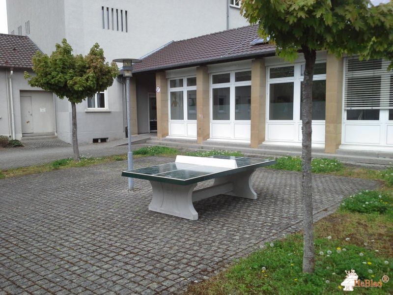 Albert-Schweitzer-Schule aus Sinsheim