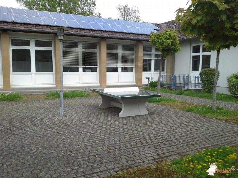 Albert-Schweitzer-Schule aus Sinsheim