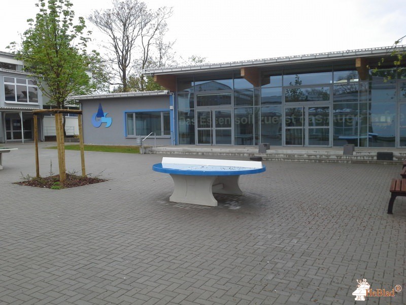 IGS Kurt Schumacher aus Ingelheim