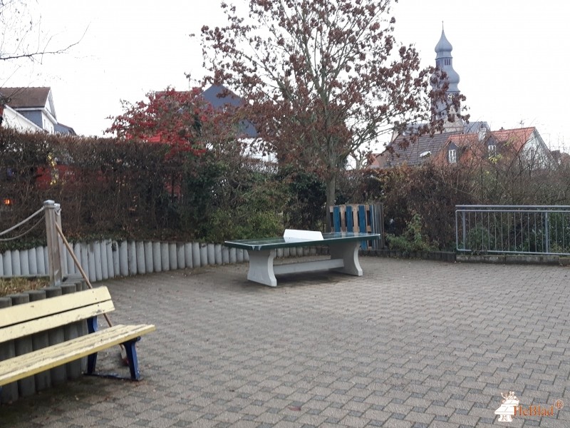 Elisabethenschule aus Hofheim am Taunus