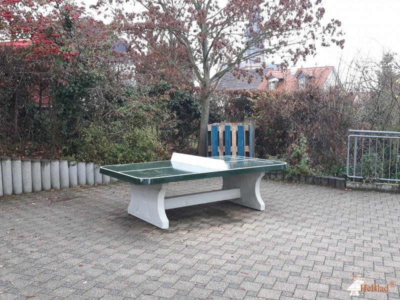 Elisabethenschule aus Hofheim am Taunus