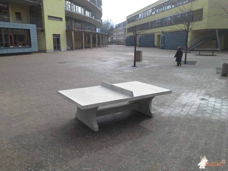 Förderverein des Alexander-von-Humboldt Gymnasiums aus Bornheim