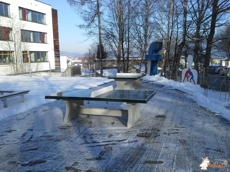 Dominicus-von-Linprun-Gymnasium Viechtach aus Viechtach