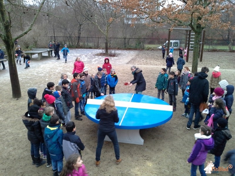 Schule am Regenweiher aus Berlin