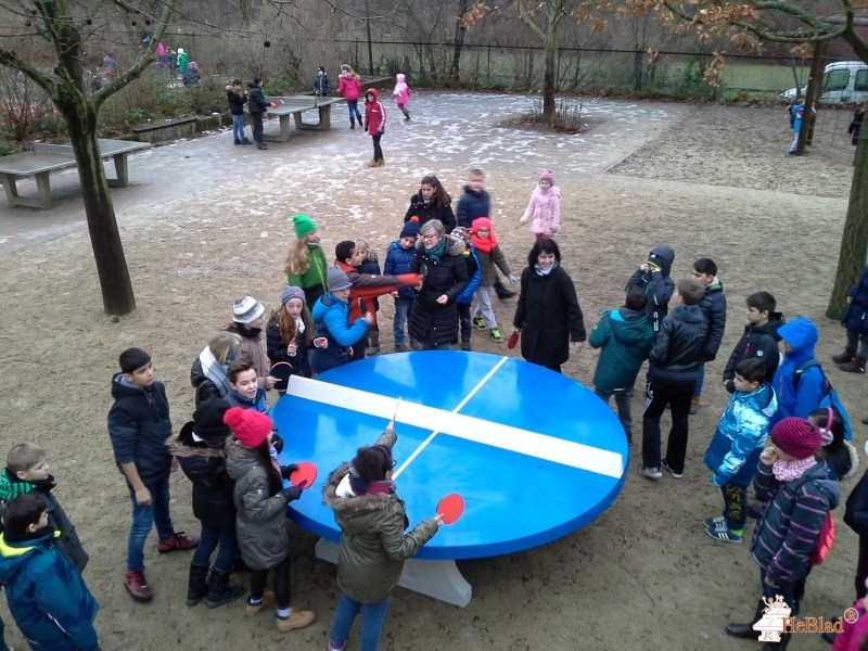 Schule am Regenweiher aus Berlin