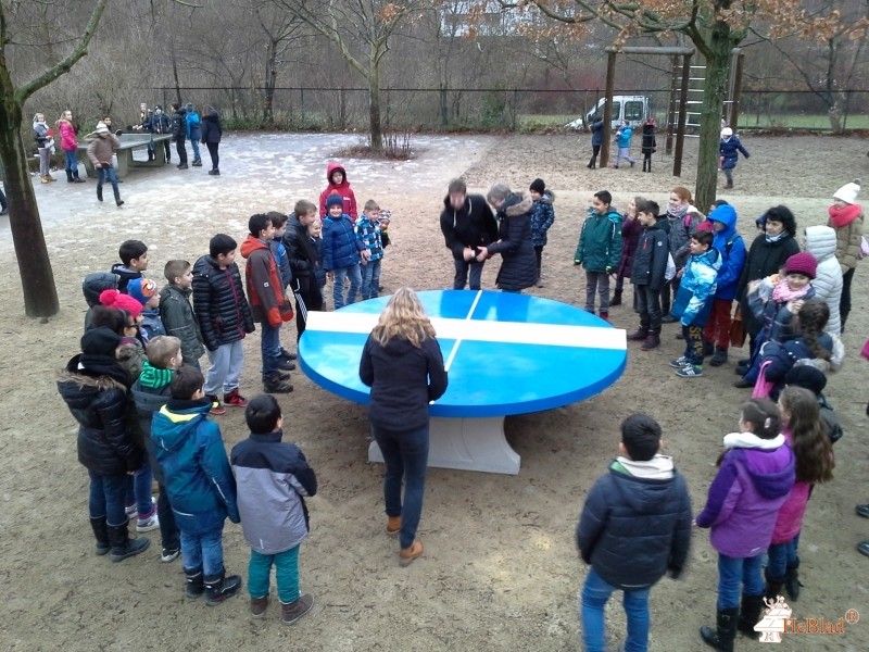 Schule am Regenweiher aus Berlin