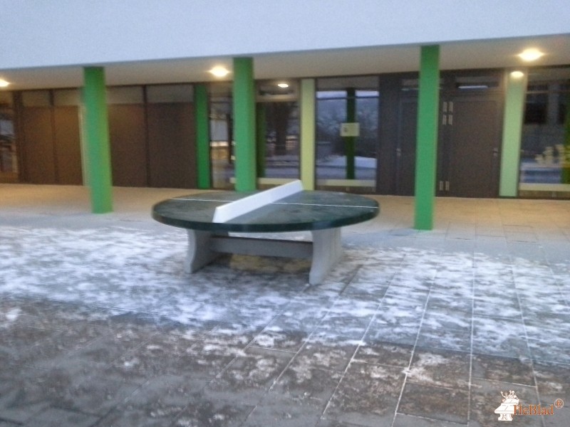 Gymnasium Möckmühl aus Möckmühl