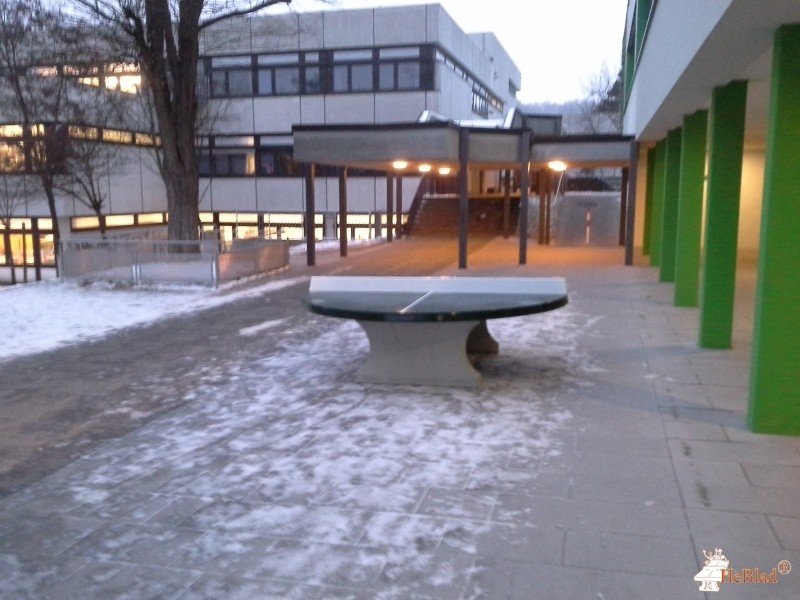 Gymnasium Möckmühl aus Möckmühl