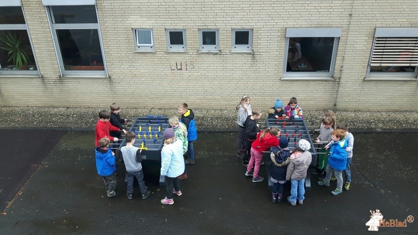 Nassau Oranien Schule aus Greifenstein