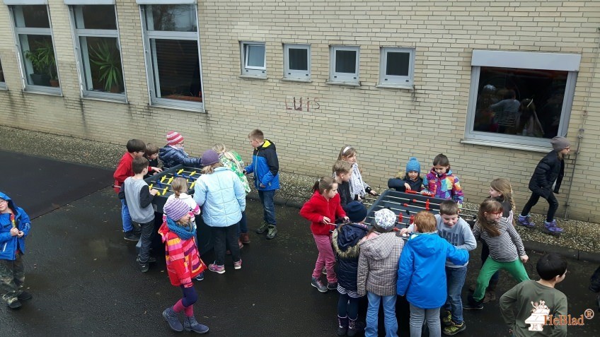 Nassau-Oranien-Schule aus Greifenstein