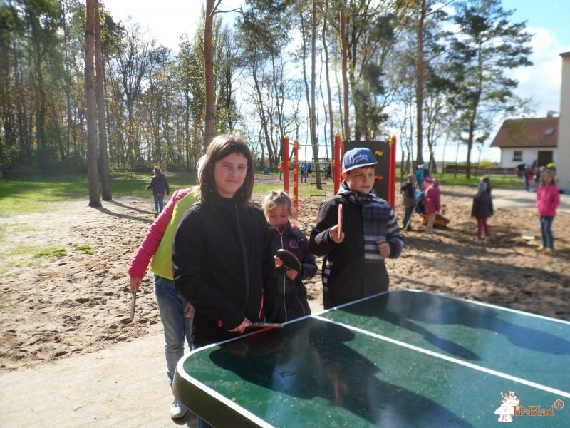 Grundschule an der Elbaue aus Zerbst