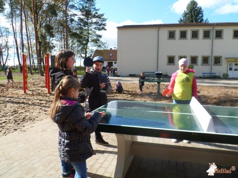 Grundschule an der Elbaue aus Zerbst