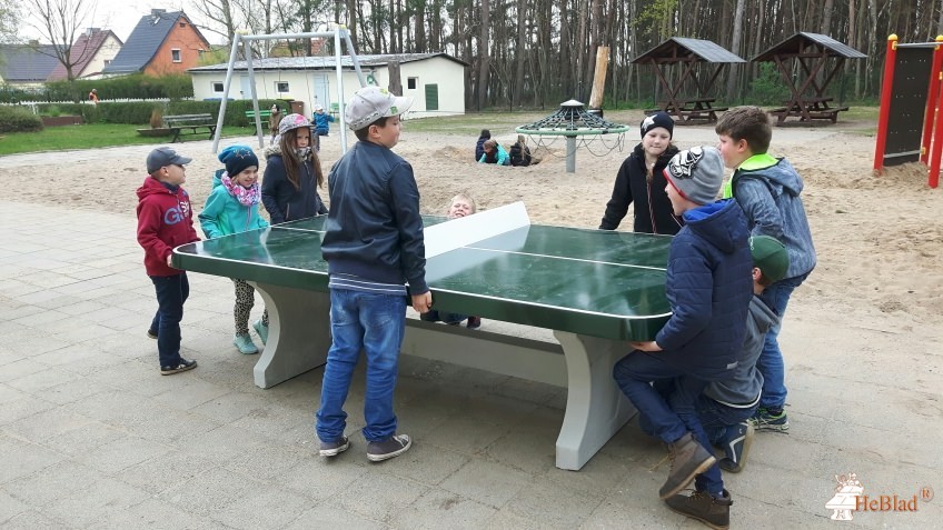 Grundschule an der Elbaue aus Zerbst