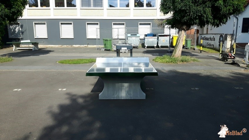 Goetheschule Dieburg  aus Dieburg 