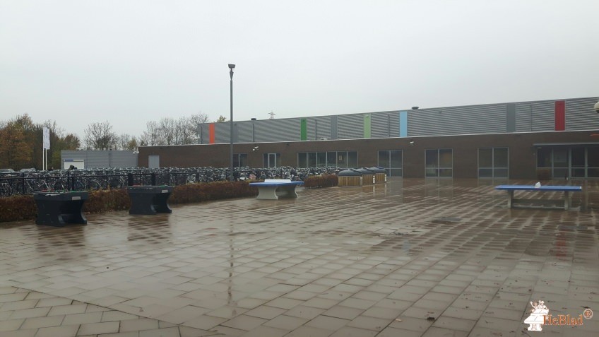 Mondial College aus Nijmegen