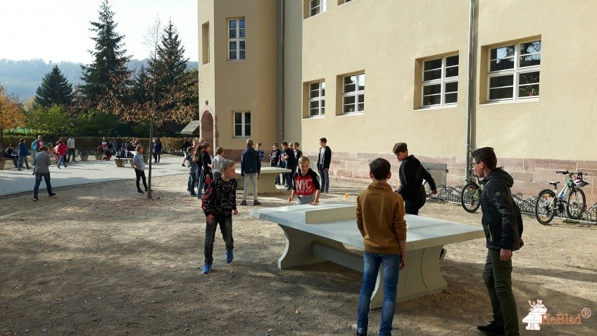 Staatliches Gymnasium Geschwister Scholl Sondershausen aus Sondershausen