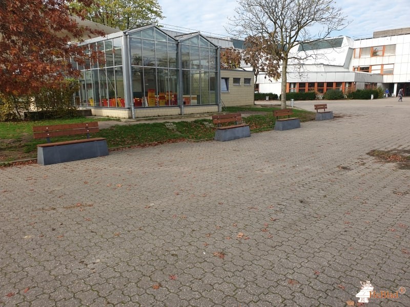 Verein der Freunde und Förderer  des Gymnasiums Horkesgath aus Krefeld