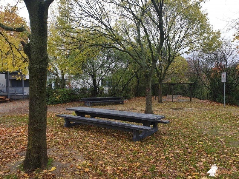 Förderverein der Geschwister-Scholl-Gymnasium aus Pulheim