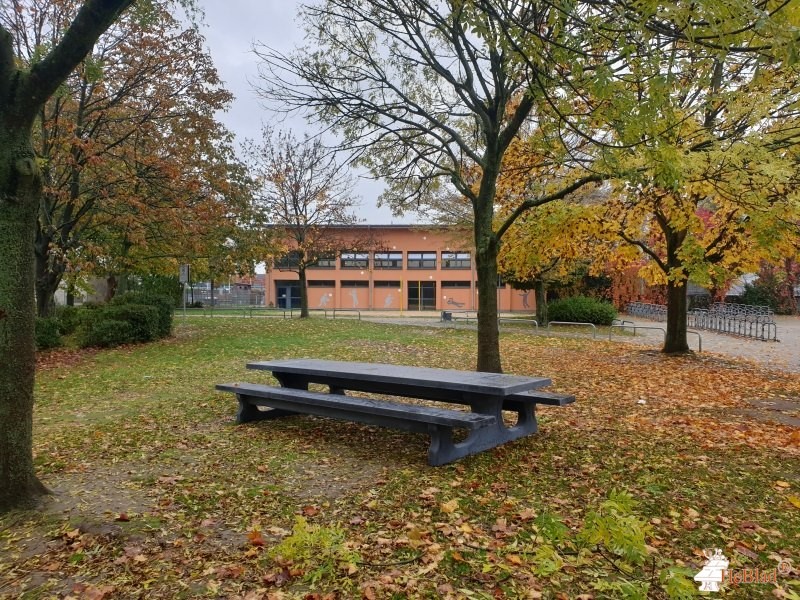 Förderverein der Geschwister-Scholl-Gymnasium aus Pulheim