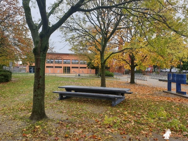 Förderverein der Geschwister-Scholl-Gymnasium aus Pulheim