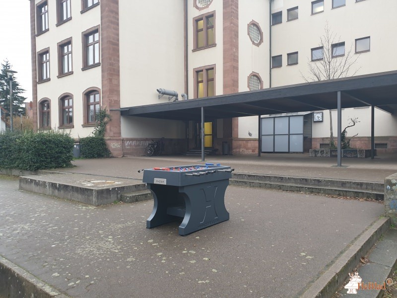 Werkrealschule Unterer Neckar aus Ladenburg