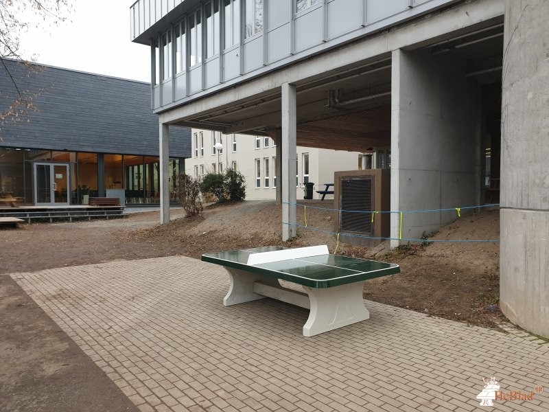 Altes Kurfürstliches Gymnasium Bensheim aus Bensheim