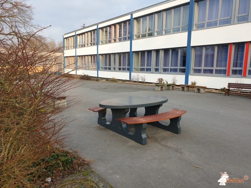 Marienschule Lippstadt Gymnasium aus Lippstadt