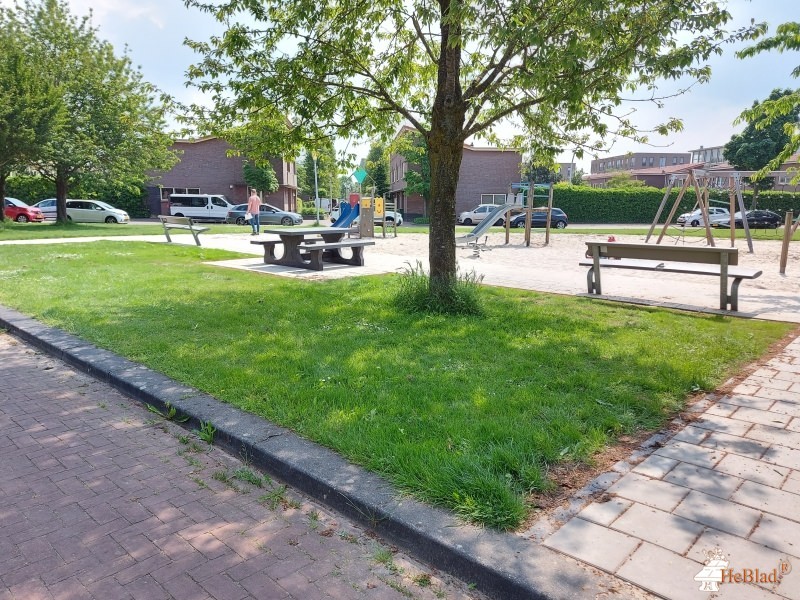 Gemeente Zwolle aus Zwolle