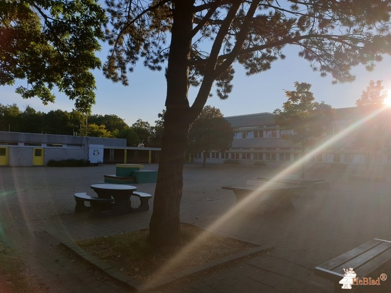 Sekundarschule Nordeifel Kleinhau Förderverein aus Hürtgenwald-Kleinhau