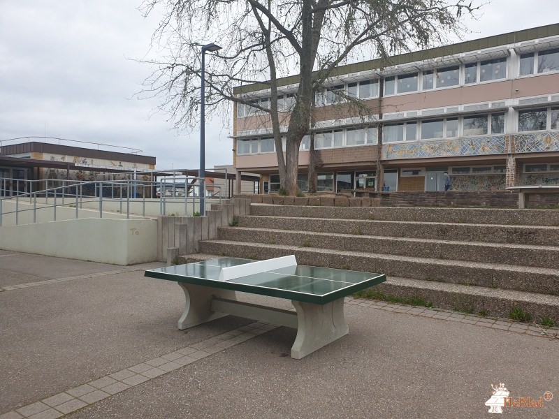 Friedrich-Boysen-Realschule Altensteig aus Altensteig