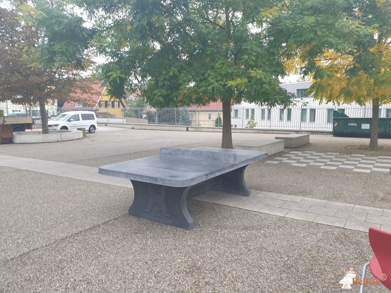 Verein der Freunde u. Förderer des Friedrich-Schiller-Gymnasiums e.V. aus Weimar