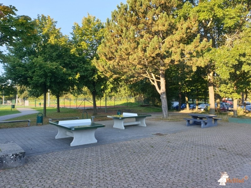 Sekundarschule Nordeifel Kleinhau Förderverein aus Hürtgenwald-Kleinhau