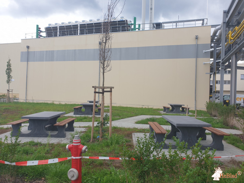 Schaeffler Technologies AG & Co. KG aus Herzogenaurach
