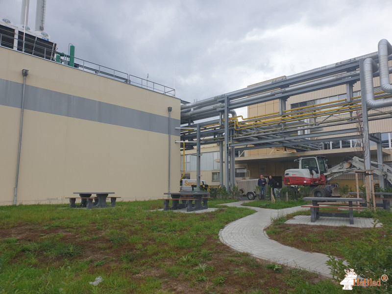 Schaeffler Technologies AG & Co. KG aus Herzogenaurach