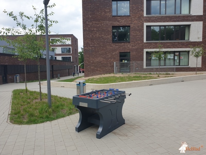 Lessing-Stadtteilschule aus Hamburg