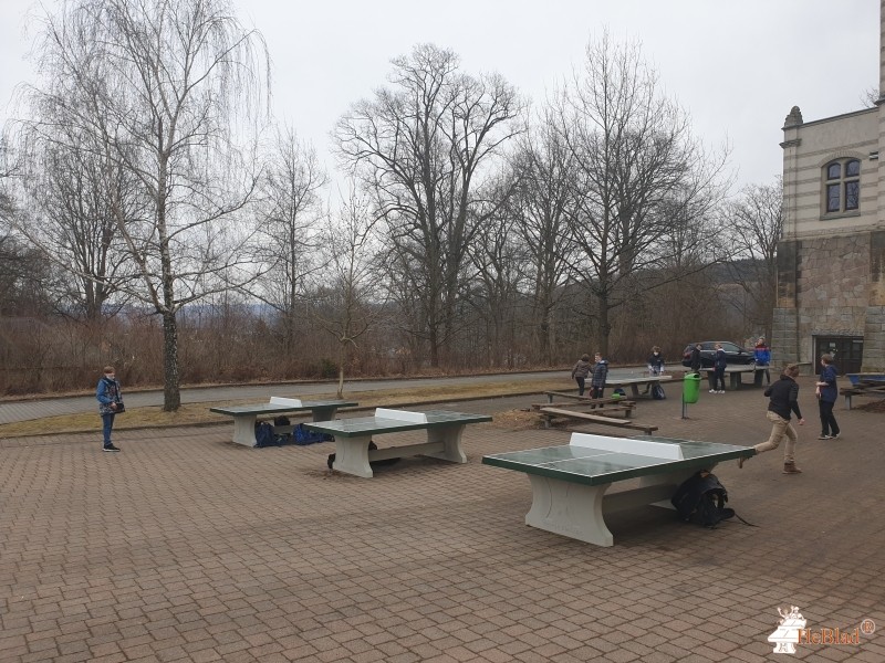 Johann-Gottfried-Herder-Gymnasium Schneeberg uit Schneeberg