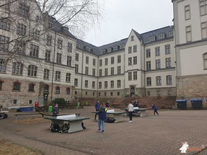 Johann-Gottfried-Herder-Gymnasium Schneeberg aus Schneeberg