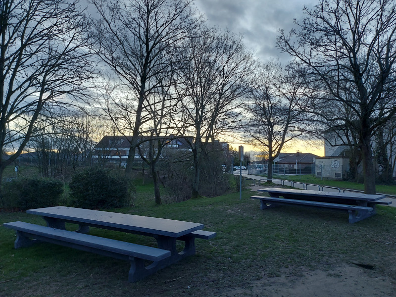 Förderverein der Geschwister-Scholl-Gymnasium aus Pulheim