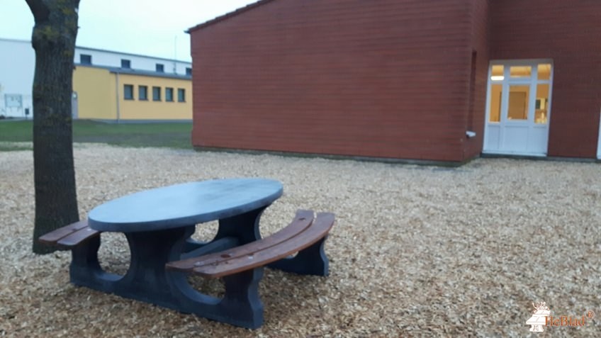 Grundschule im Ried aus Reichelsheim