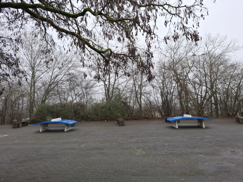 Gesamtschule Gleiberger Land aus Wettenberg OT Launsbach