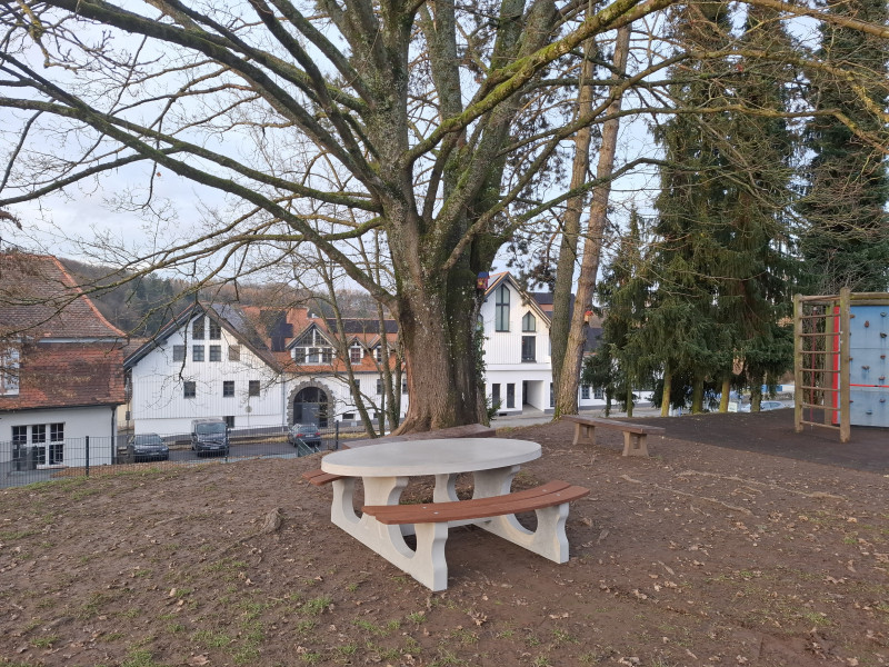 Hugo-Buderus-Schule aus Hirzenhain