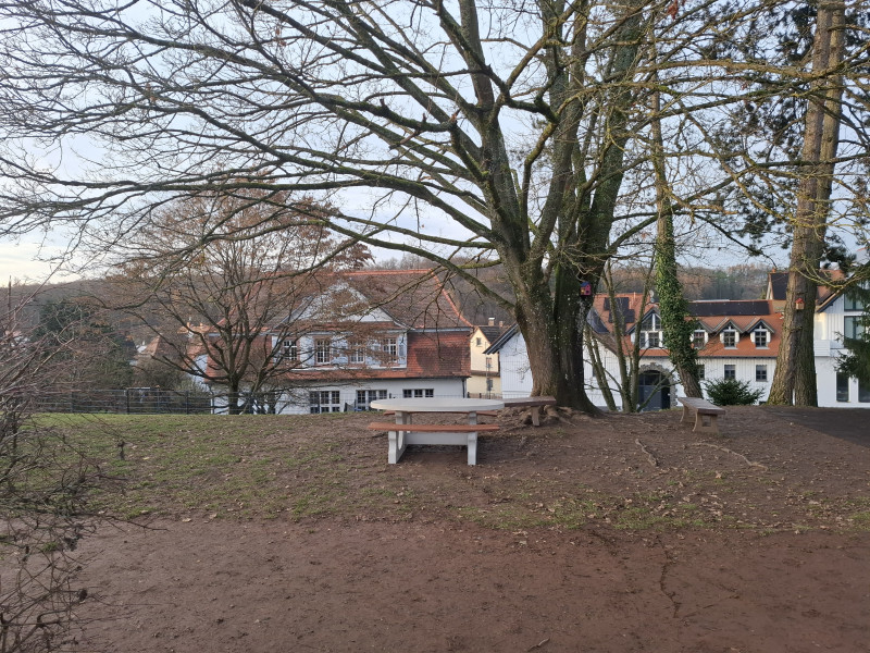 Hugo-Buderus-Schule aus Hirzenhain