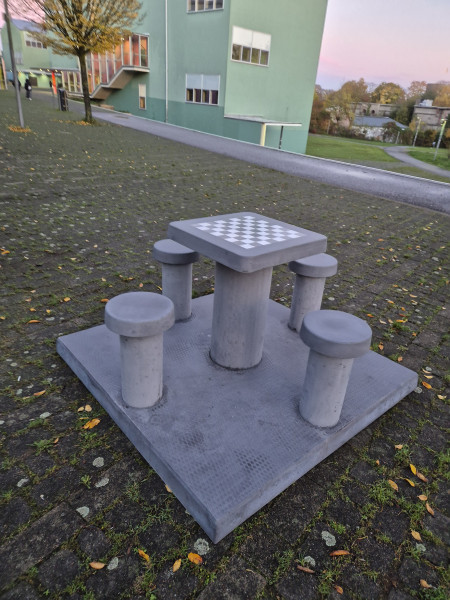 Maria-Montessori-Gesamtschule aus Aachen